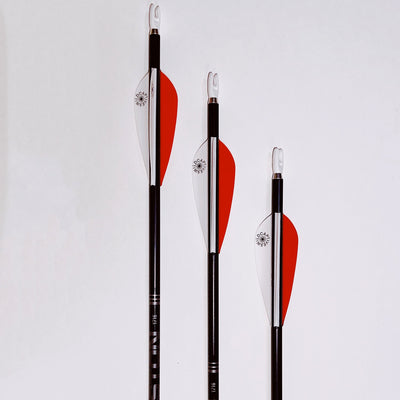3 Extra Arrows